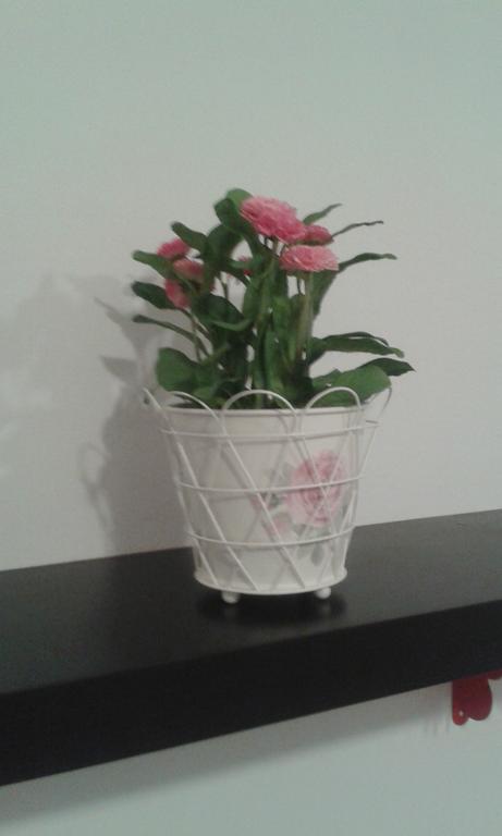 Apartamento Calle Goles 세비야 객실 사진